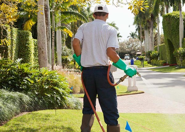 About Carsonville MI Pest Control Pros